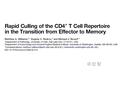 마 민 정마 민 정. introduction In vivo 에서 CD4+ T cell memory differentiation 을 study 하기 위해, TCR transgenic T cell 의 adoptive tranfer model 을 이용. ->SMARTA cell.