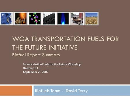 WGA TRANSPORTATION FUELS FOR THE FUTURE INITIATIVE Biofuel Report Summary Biofuels Team - David Terry Transportation Fuels for the Future Workshop Denver,