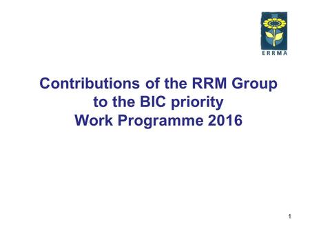 1 Contributions of the RRM Group to the BIC priority Work Programme 2016.