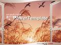 LOGO ppt.glzy8.com 海量 PPT 模板 免费下载 PowerTemplate ppt.glzy8.com 海 量 PPT 模板免费 下载.