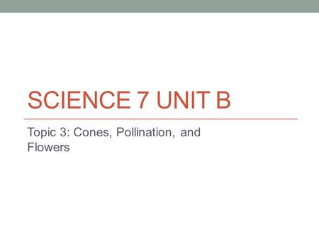 SCIENCE 7 UNIT B Topic 3: Cones, Pollination, and Flowers.