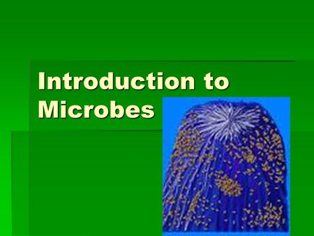 Introduction to Microbes. microbes  Bacteria, viruses and other infectious organisms — germs — live everywhere.  In the air, on food, plants and animals,