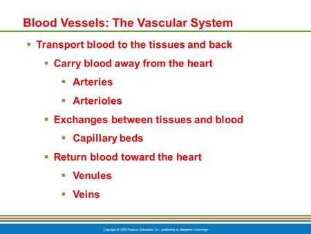 Copyright © 2009 Pearson Education, Inc., publishing as Benjamin Cummings Blood Vessels: The Vascular System  Transport blood to the tissues and back.