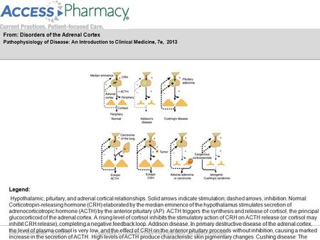 Date of download: 6/2/2016 Copyright © 2016 McGraw-Hill Education. All rights reserved. Hypothalamic, pituitary, and adrenal cortical relationships. Solid.