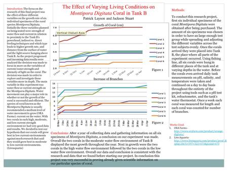 The Effect of Varying Living Conditions on Montipora Digitata Coral in Tank B Patrick Layson and Jackson Stuart Introduction: The focus on the research.