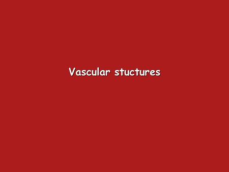 Vascular stuctures.