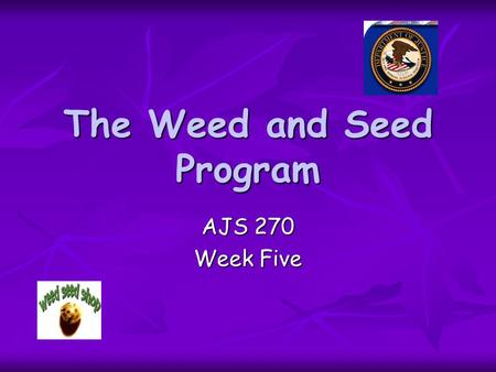 The Weed and Seed Program AJS 270 Week Five. The Beginning Established by the U.S. Department of Justice in 1991. Established by the U.S. Department of.