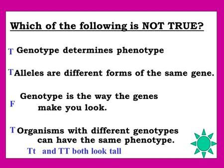 Which of the following is NOT TRUE? Genotype determines phenotype Alleles are different forms of the same gene. Genotype is the way the genes make you.