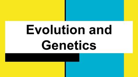 Evolution and Genetics. Genetics You’ve learned that organisms are living things. In ecosystems, you’ve also learned that there are different species.