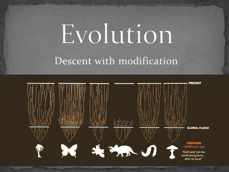 Descent with modification. A. Change in species over time B. Change in gene frequencies from generation to generation C. A Process of change.