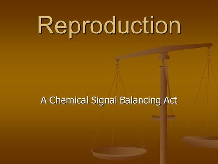 Reproduction A Chemical Signal Balancing Act. Testis signaled to make sperm Low Testosterone in blood detected by Hypothalamus Low Testosterone in blood.