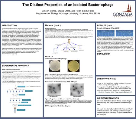 EXPERIMENTAL APPROACH Series I: Isolation and Purification of Phage 1. We created an enrichment culture in order to grow bacteriophages and ultimately.