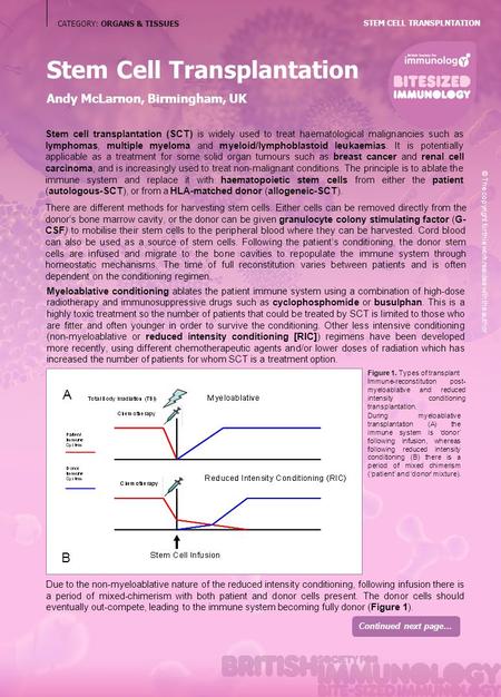 Due to the non-myeloablative nature of the reduced intensity conditioning, following infusion there is a period of mixed-chimerism with both patient and.