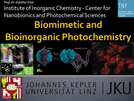 Prof. Dr. Günther Knör Institute of Inorganic Chemistry - Center for Nanobionics and Photochemical Sciences.