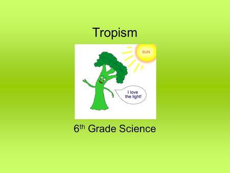 Tropism 6 th Grade Science. Have you ever wondered how seedlings “know” which way to grow? The plant must send its roots down into the soil for minerals.