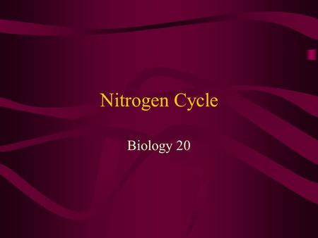 Nitrogen Cycle Biology 20. Nitrogen Cycle Nitrogen cycle: cycling of nitrogen between organisms and environment. Nitrogen fixation: process of converting.