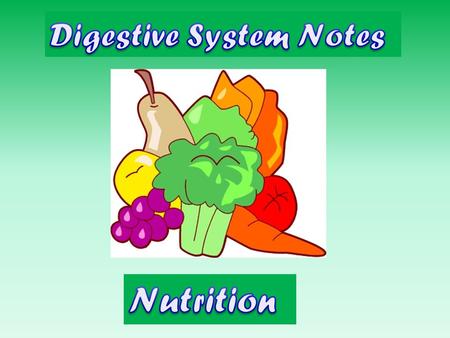 Review Most of a tooth is made up of what? dentin Where are nerves and blood vessels located in a tooth? the pulp cavity What is the bacteria that sticks.