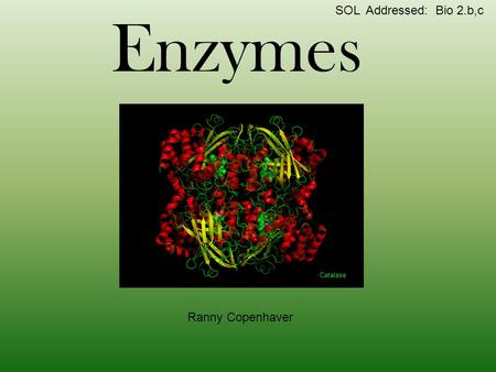 SOL Addressed: Bio 2.b,c Enzymes Ranny Copenhaver Catalase.