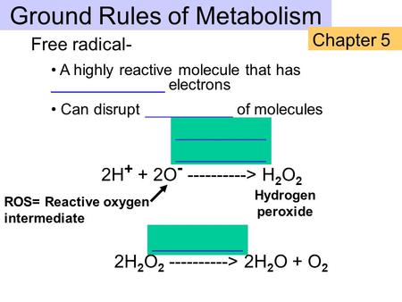 ________ 2H 2 O 2 ----------> 2H 2 O + O 2 2H + + 2O - ----------> H 2 O 2 Free radical- A highly reactive molecule that has _____________ electrons Can.