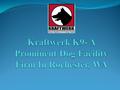 The concept of Kraftwerk K9 was bought into existence by a proficient dog handler Wayne Curry. This is a prominent dog facility firm located in Rochester,