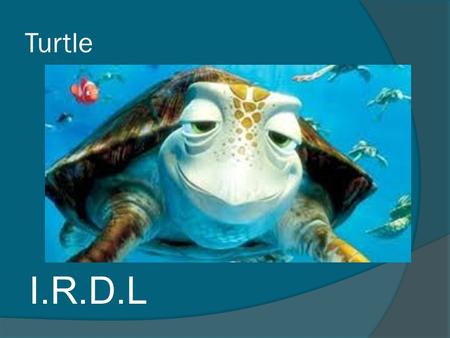 Turtle I.R.D.L. What does his name mean? I- Increase R- Right D- Decrease L- Left.