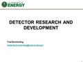 DETECTOR RESEARCH AND DEVELOPMENT Fred Borcherding 1.