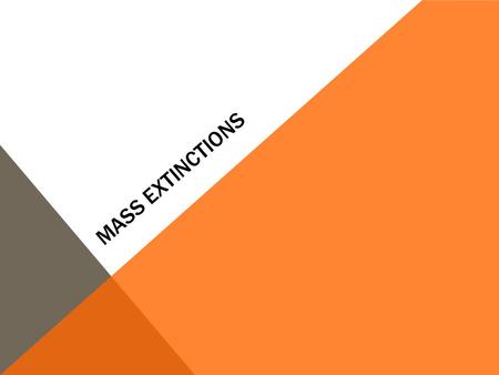 MASS EXTINCTIONS. 3/21 B-BAT: EXPLAIN THE SIXTH MASS EXTINCTION IN THEIR OWN WORDS Do Now! What mass extinctions do you know of? How did those animals.