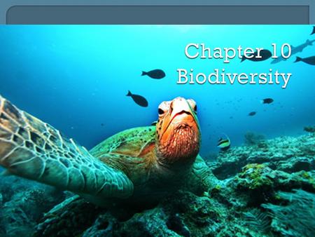  Biodiversity – short for “biological diversity.” The number of species known to science is about 1.7 million, most of which are insects. Actual number.