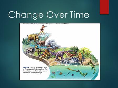 Change Over Time. Warm Up Question  The cockroach originated on Earth more than 250 million years ago and is still thriving all over the world today.