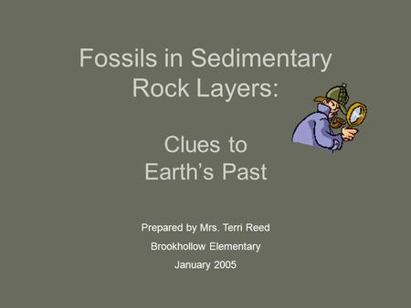 Fossils in Sedimentary Rock Layers: Clues to Earth’s Past