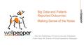 Big Data and Patient- Reported Outcomes: Making Sense of the Noise Mike Van Snellenberg, CTO and co-founder, Wellpepper Kristin Helps, RN, Director of.