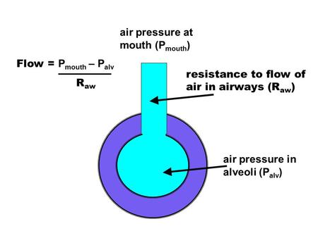 air pressure at mouth (Pmouth)