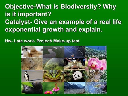 Objective-What is Biodiversity. Why is it important