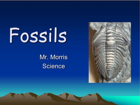 Fossils Mr. Morris Science.