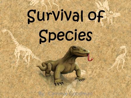 Survival of Species By: Cammie Goodman. Survival of Species You already know that every kind of living thing has adaptations that help it survive. But.