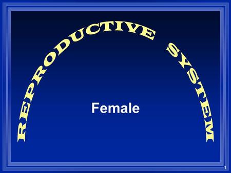 1 Female. 2 l The mechanism that maintains life from one generation to the other The Reproductive System.