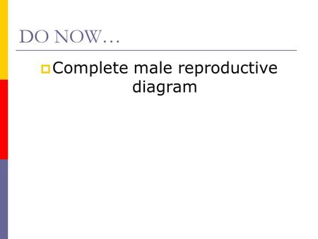 DO NOW…  Complete male reproductive diagram. Female Reproductive System.