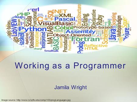 Working as a Programmer Jamila Wright Image source: