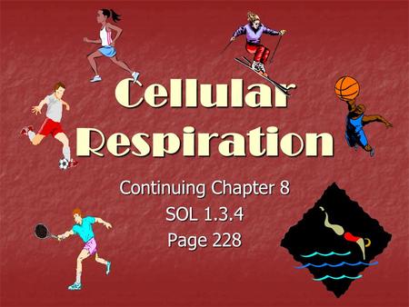 Cellular Respiration Continuing Chapter 8 SOL 1.3.4 Page 228.