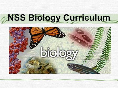 NSS Biology Curriculum. NSS Biology Curriculum Structure and Time Allocation Compulsory Part(180 hours) Elective Part(50 hours) Investigative Study(20.