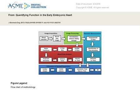 Date of download: 6/3/2016 Copyright © ASME. All rights reserved. From: Quantifying Function in the Early Embryonic Heart J Biomech Eng. 2013;135(4):041006-041006-11.