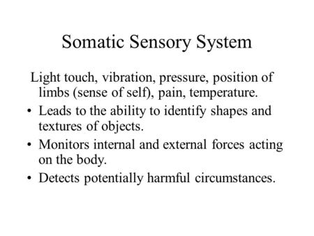 Somatic Sensory System