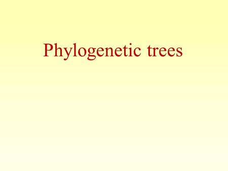 Phylogenetic trees. 2 Phylogeny is the inference of evolutionary relationships. Traditionally, phylogeny relied on the comparison of morphological features.