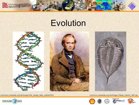 Evolution commons.wikimedia.org/wiki/Image:Charles_Darwin_1881.jpgcommons.wikimedia.org/wiki/Image:DNA_double_helix_vertikal.PNG.