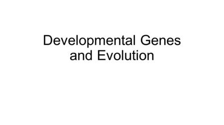 Developmental Genes and Evolution. Studying genetic mechanisms of change can provide insight into large-scale evolutionary change There is a connection.