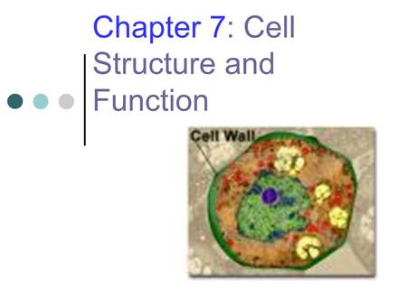 Chapter 7: Cell Structure and Function. 2 The Discovery of Cells Early 1600s Robert Hooke uses an early compound microscope to look at cork. Anton van.