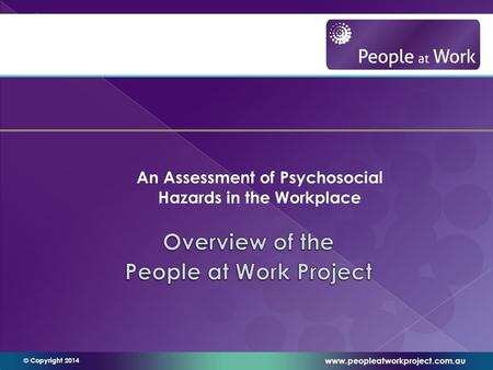 Www.peopleatworkproject.com.au © Copyright 2014.  People at Work Project - Overview  People at Work Project - Theoretical Underpinnings  People at.