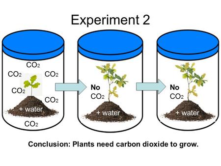 Experiment 2 CO2 CO2 CO2 NoCO2 NoCO2 CO2 CO2 + water + water + water