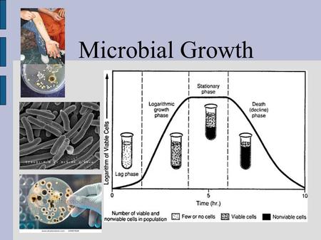 Microbial Growth.