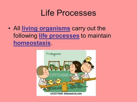 Life Processes All living organisms carry out the following life processes to maintain homeostasis.